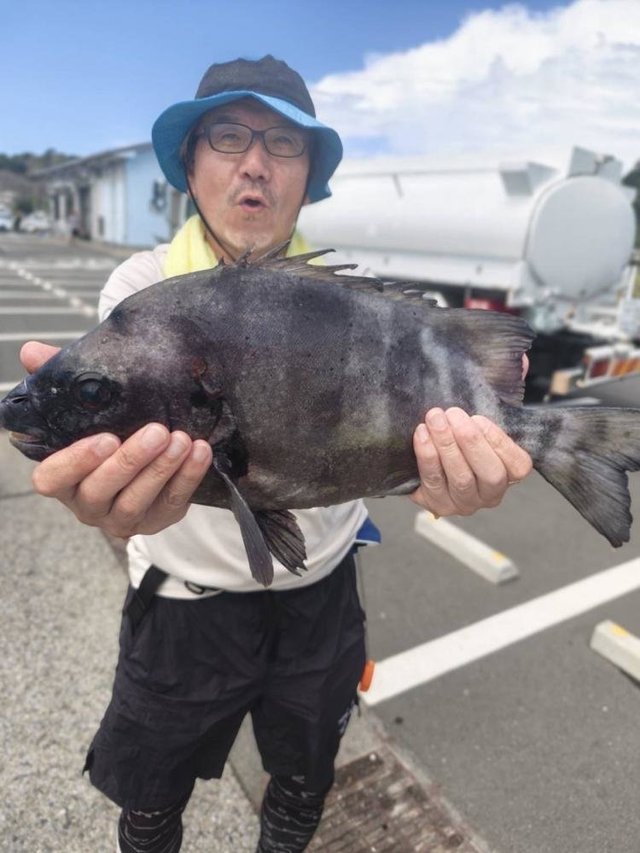 イシダイ