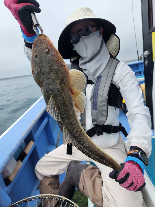 マゴチ
