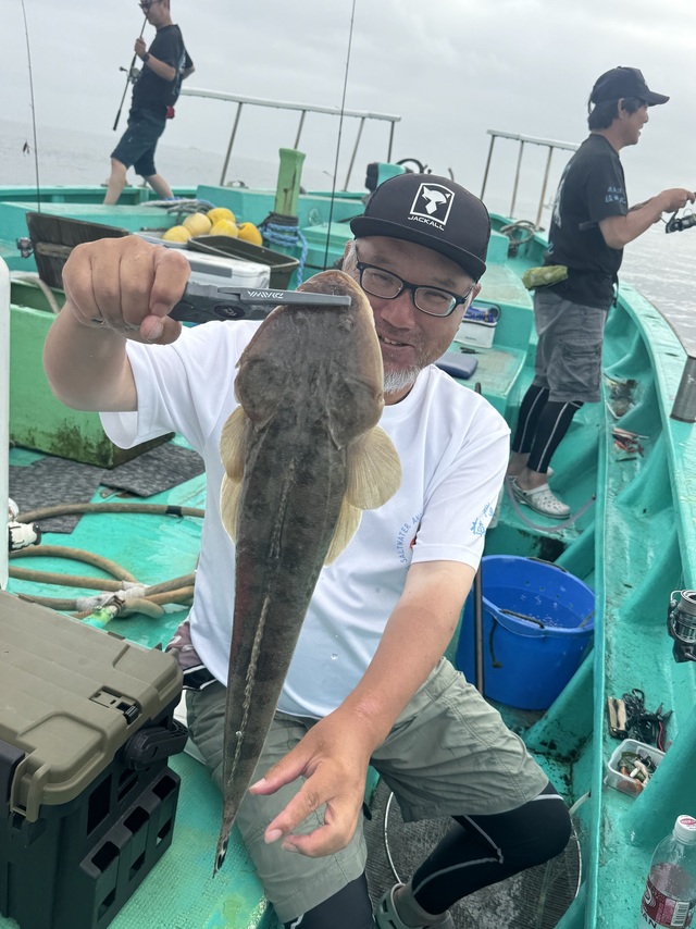 マゴチ