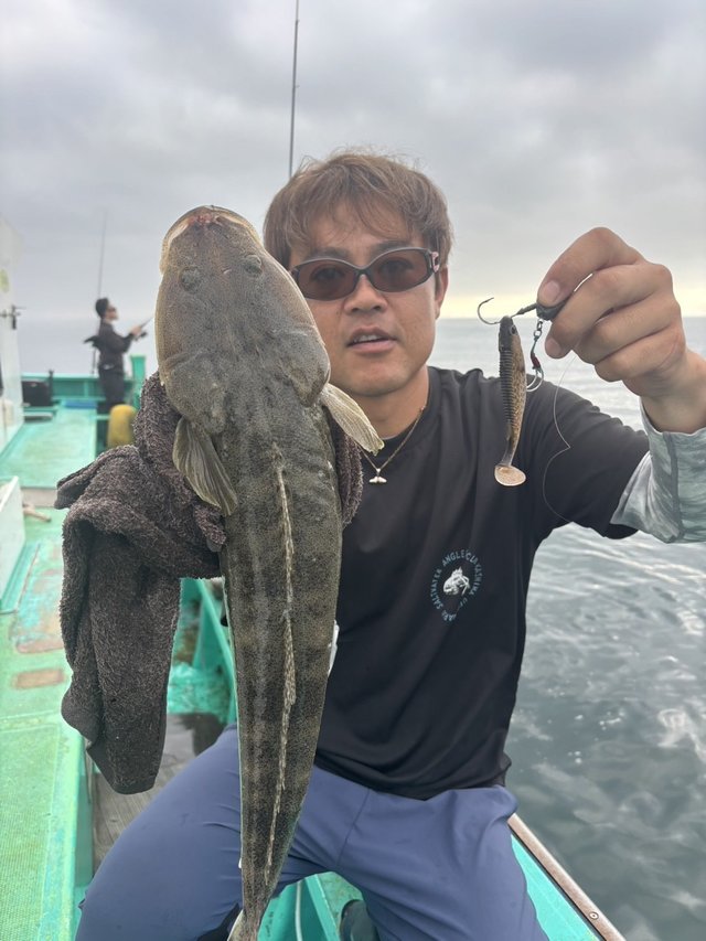 マゴチ