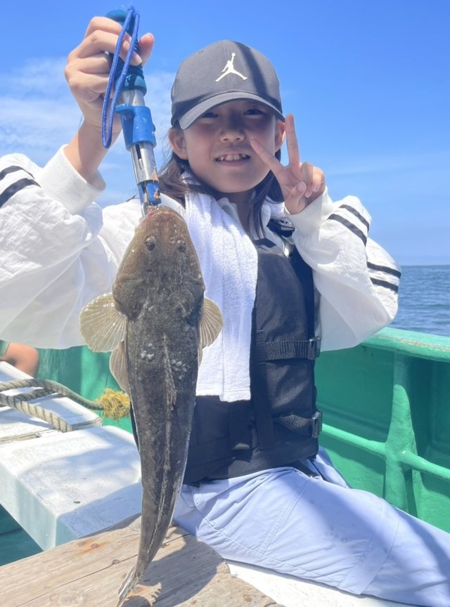 マゴチ