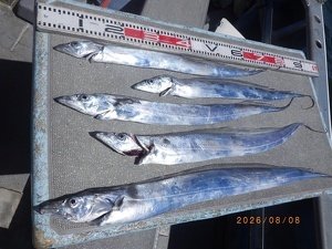 タチウオ