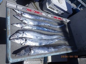 タチウオ