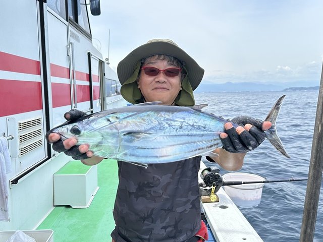 カツオ