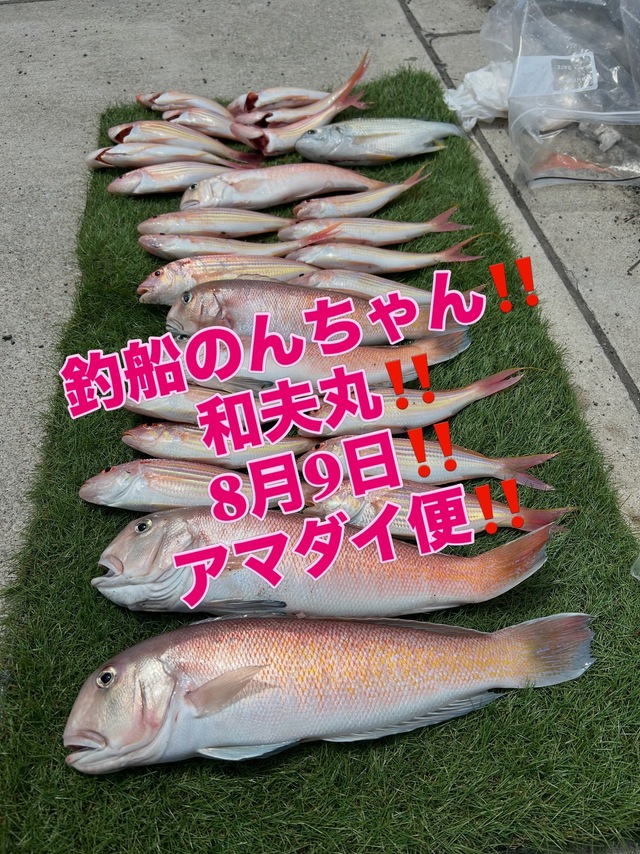シロアマダイ