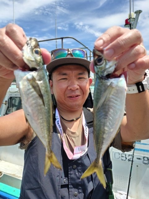 アジ(マアジ)
