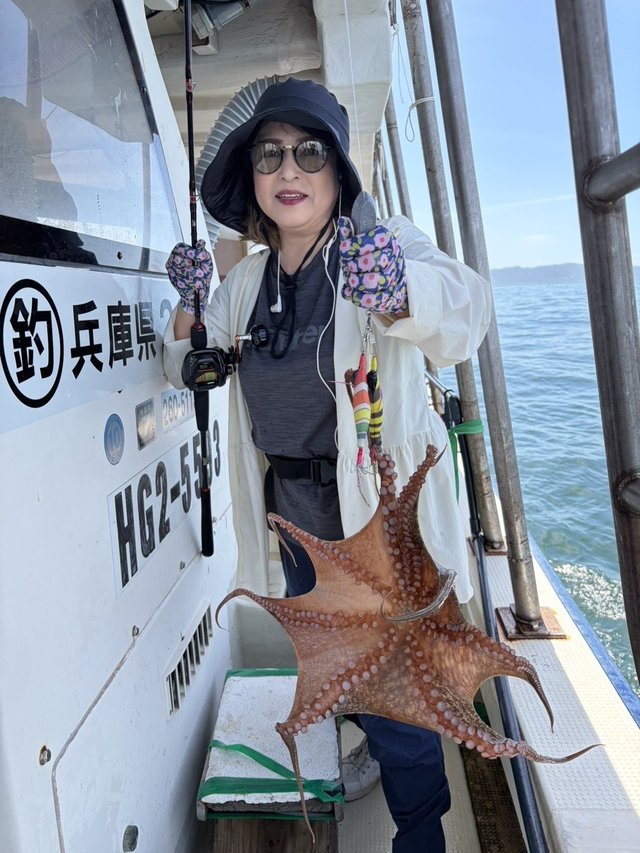 マダコ