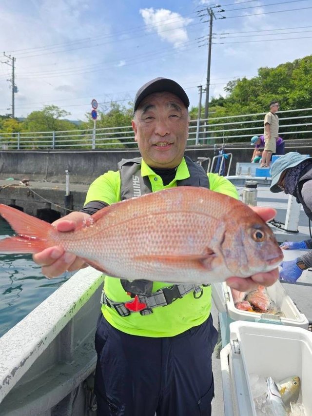 マダイ
