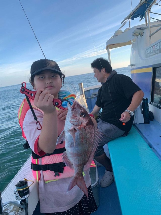 マダイ