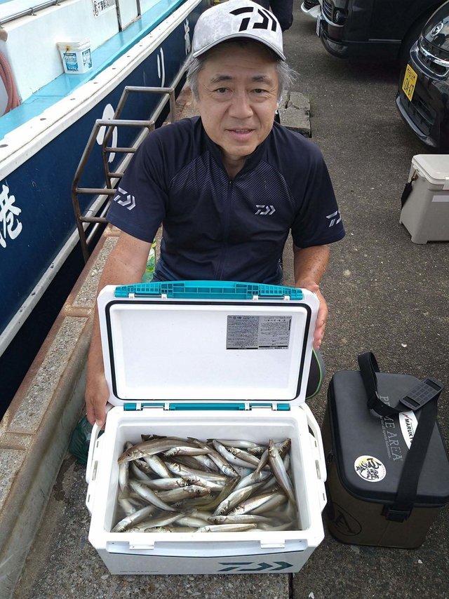 シロギス