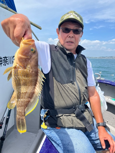 アオハタ
