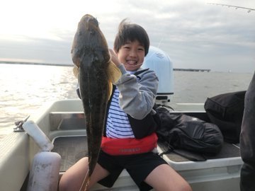 マゴチ