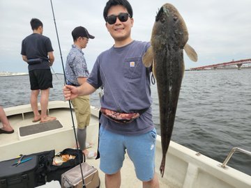マゴチ