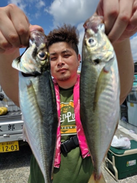 アジ(マアジ)