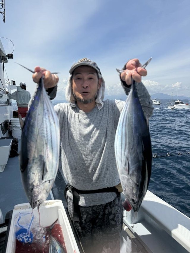 カツオ