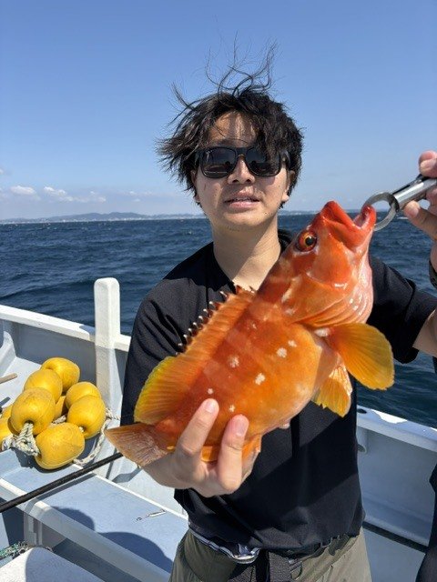 アカハタ
