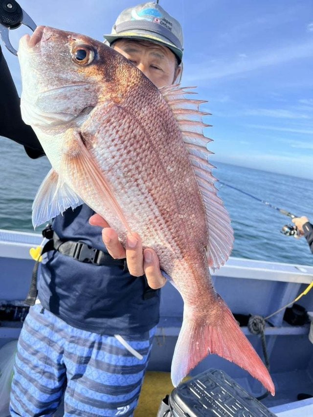 マダイ