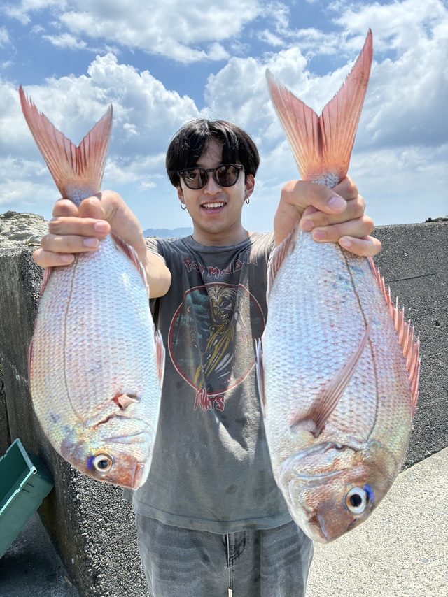 マダイ