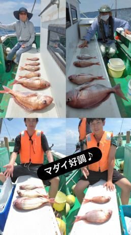マダイ