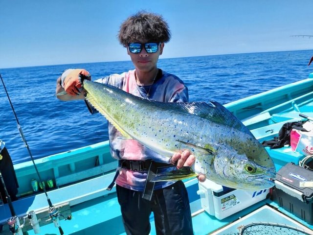シイラ