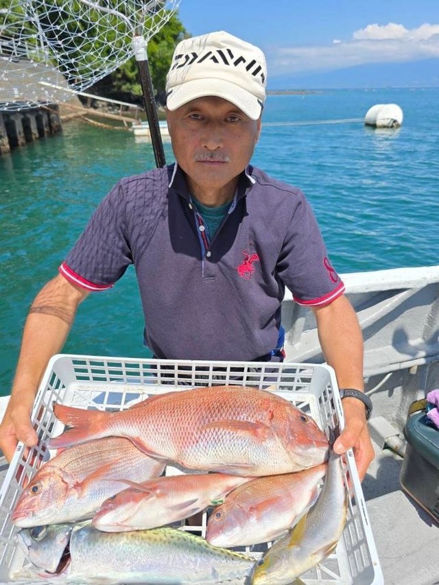 マダイ