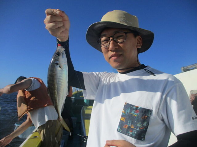 アジ(マアジ)