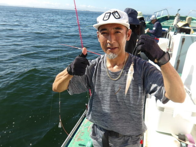シロギス