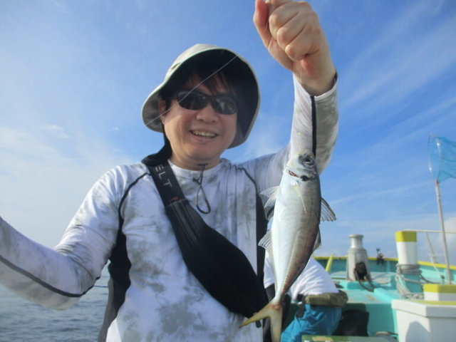 アジ(マアジ)