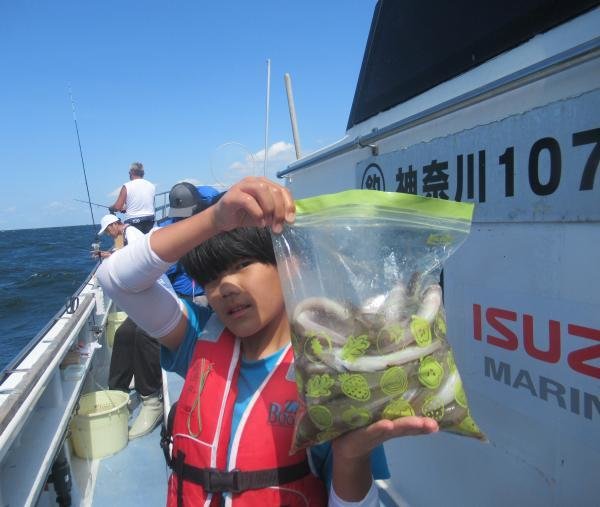 シロギス