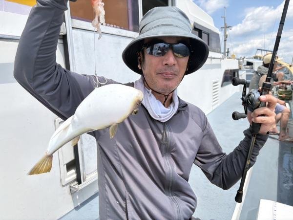 ショウサイフグ