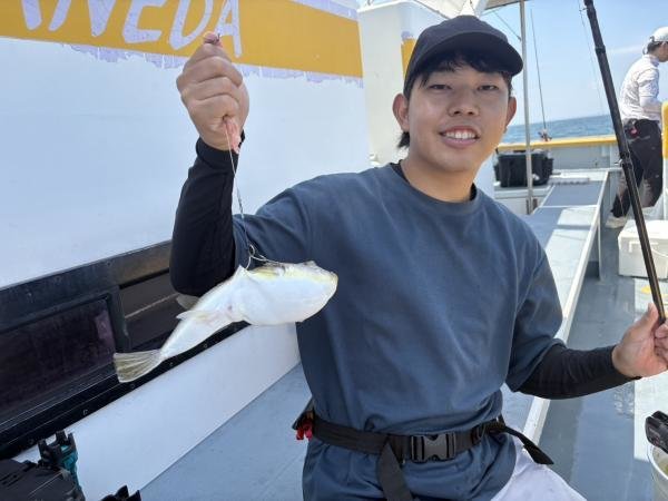 ショウサイフグ