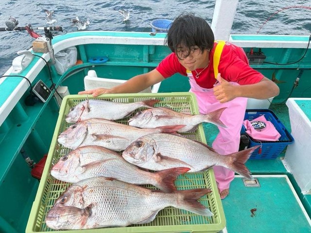 マダイ