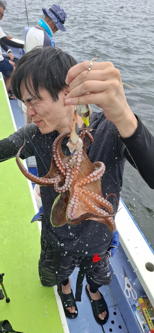 タコ(マダコ)