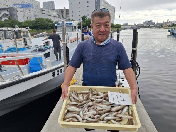 シロギス