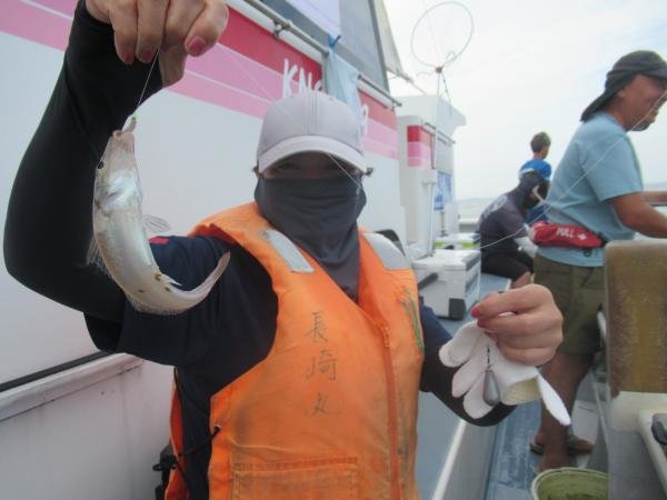 シロギス