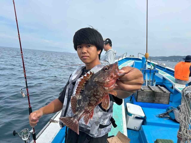 カサゴ