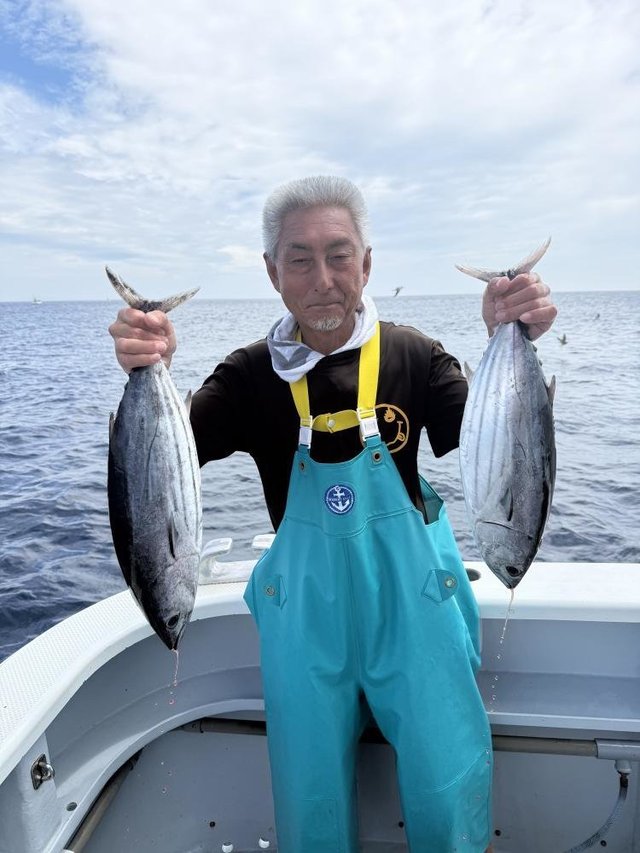 カツオ