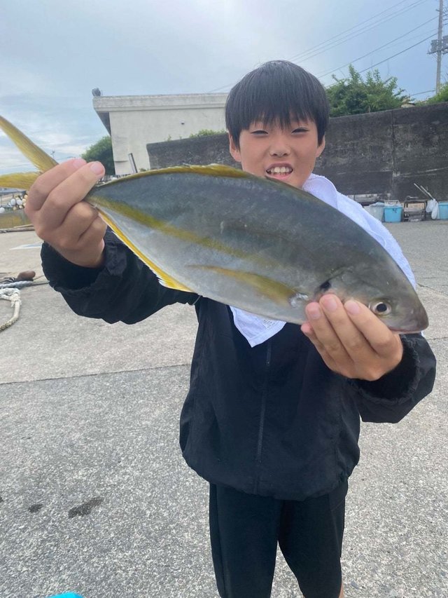シマアジ