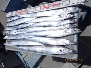 タチウオ