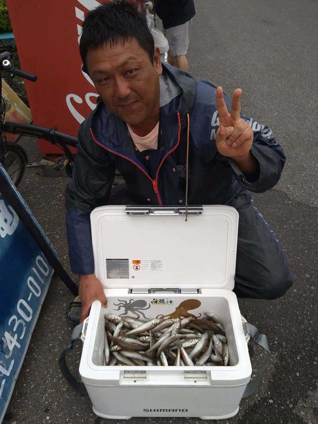 シロギス