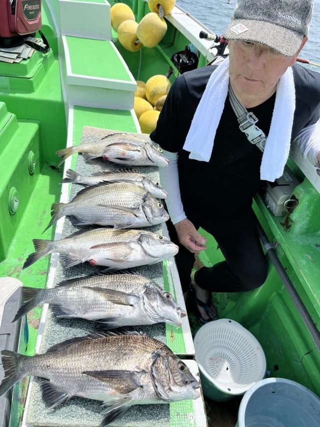 クロダイ