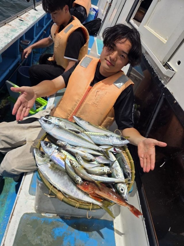 アジ(マアジ)