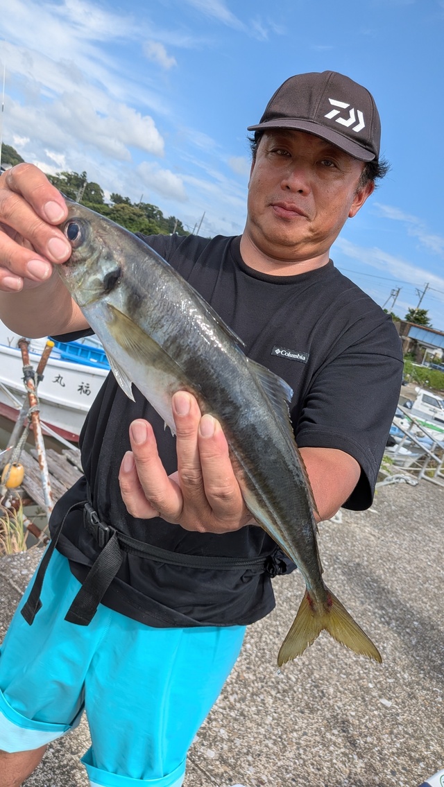 アジ(マアジ)