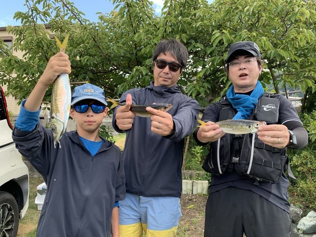 アジ(マアジ)
