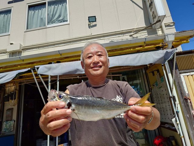 アジ(マアジ)