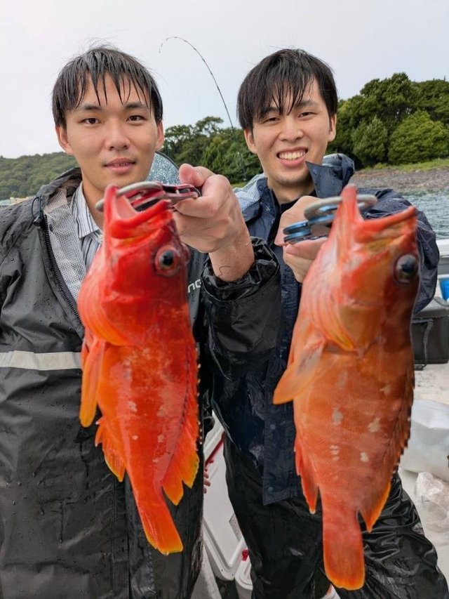 アカハタ
