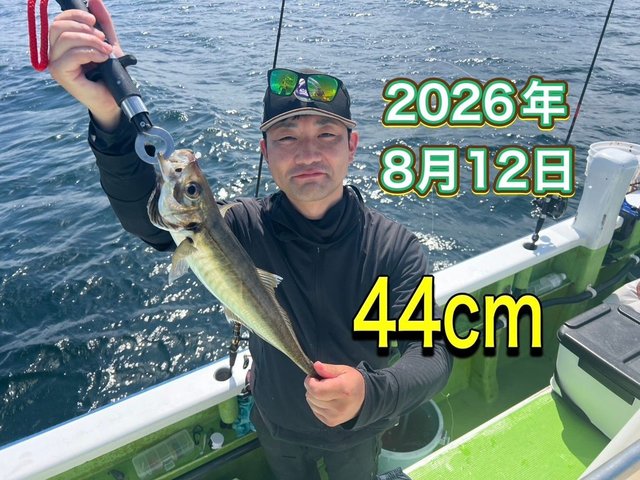 アジ(マアジ)