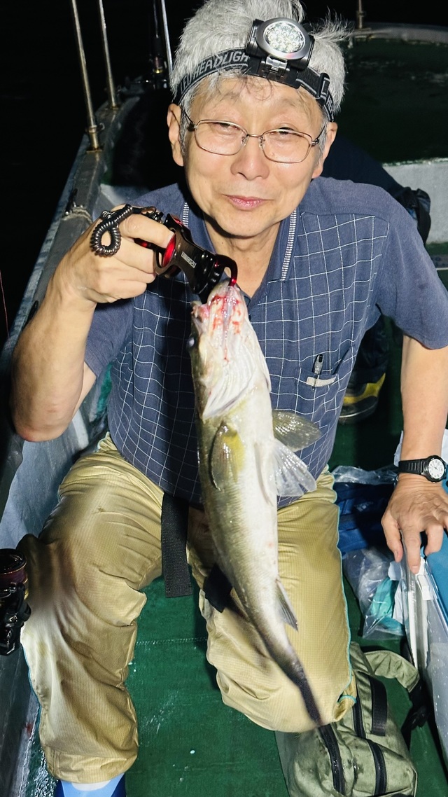 シーバス(スズキ)