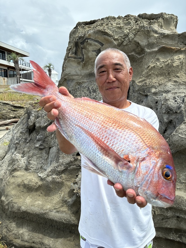マダイ