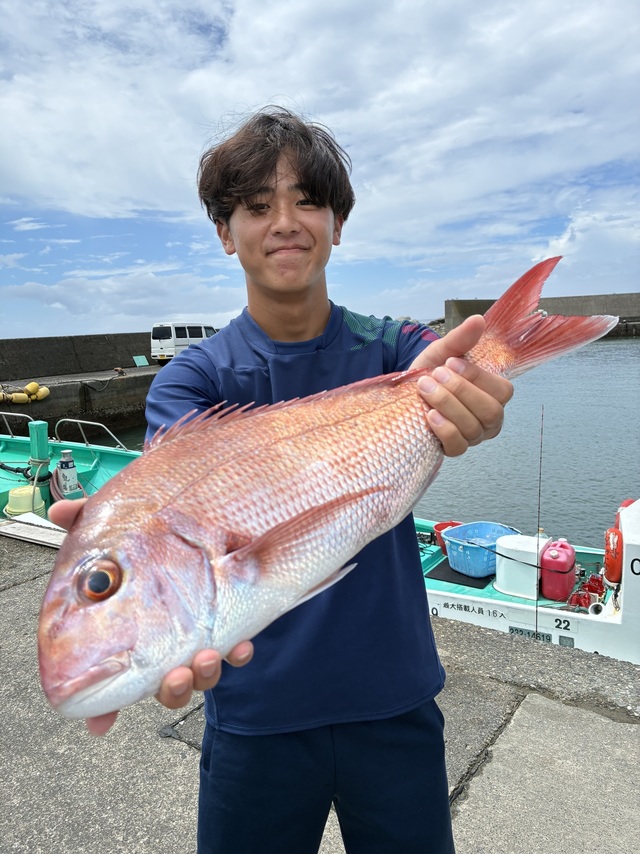 マダイ